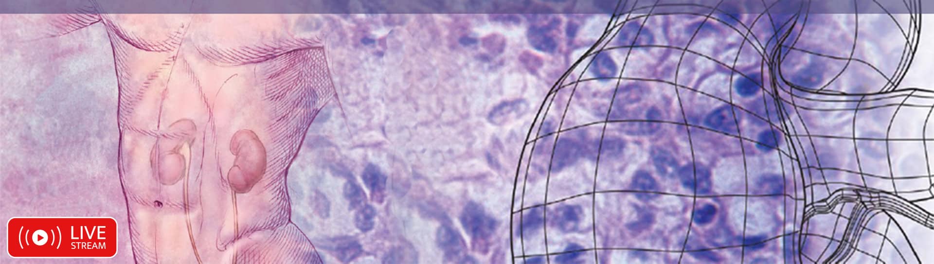 Comprehensive Updates in Nephrology